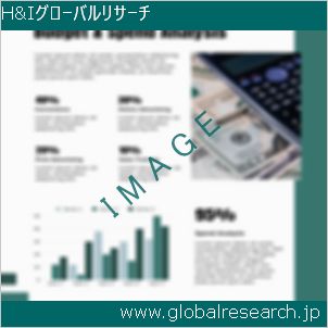 グローバルリサーチ調査レポートのイメージ